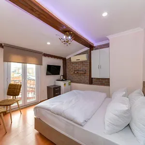 https://artemis-suite-taksim.istanbul-turkeyhotels.com